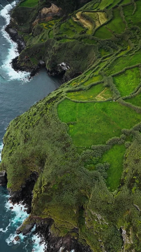 Coastal cliffs of Azores with patchwork farmland above Atlantic Ocean Video stock 337308162