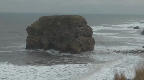 Coastal cliffs with eroded rocky outcrops and sea birds, zoom in Stock Footage 1095274