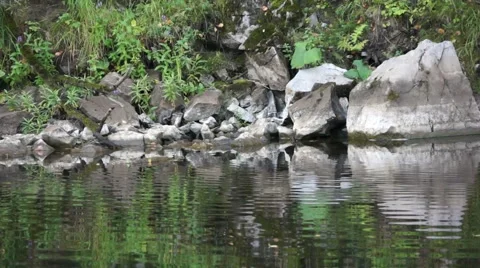 Coastal cliffs Stock Footage 48369070