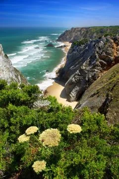 Coastal cliffs Stock Photos