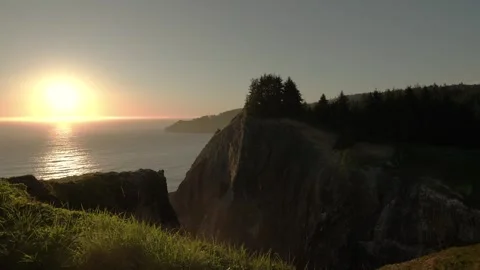 Coastal Cliffs at Sunset with Pine Forest and Ocean Stock Footage 341366519
