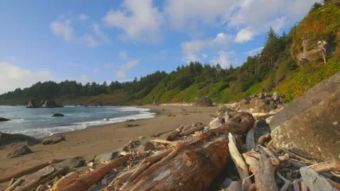 Coastal Clouds and Driftwood on Hidden Beach, Redwood National Park, California Stock Footage 332432985