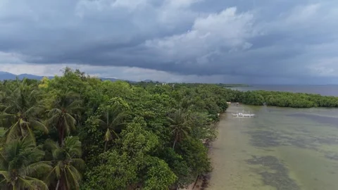 Coastal Coconut Palms Under Dark Clouds in Puerto Princesa Stock Footage 346285042