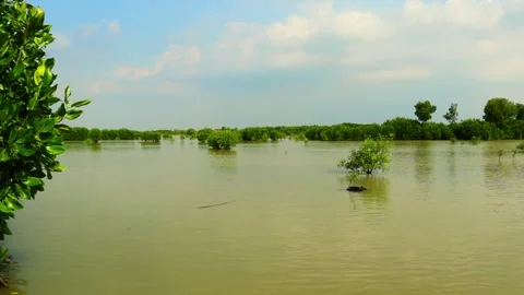 Coastal damage Stock Footage 287155106