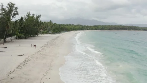 Coastal Drone Shot of Palm-Lined Beach and Clear Shallow Water Stock Footage 237973433