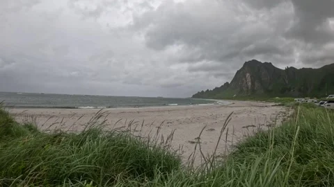 Coastal dune grass blowing in wind at Bleik Beach with mountains in Norway 스톡 동영상 343130661