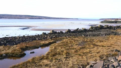 Coastal ecosystem in winter Stock Footage 170775209