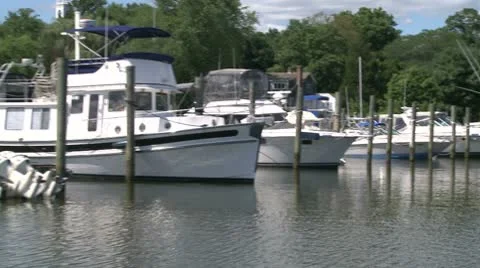 Coastal environment (4 of 15) Stock Footage 10773942