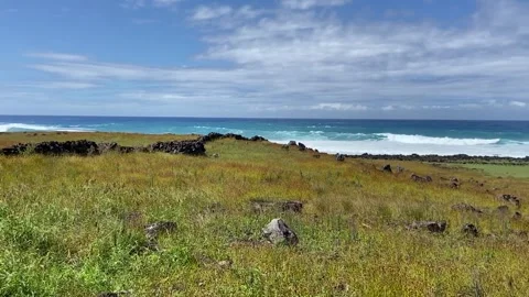 Coastal field in Easter Island Stock-Footage 342837970