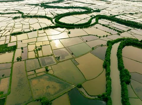 Coastal Fishpond Complex 写真素材