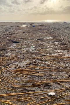 Coastal flooding and garbage caused by storm surge from DANA hurricane Stock Photos