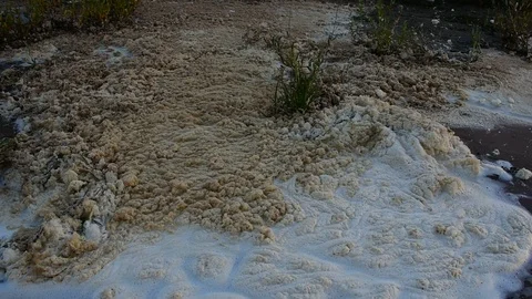 Coastal foam average plan Stock Footage 115477418