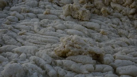 Coastal foam close-up Stock Footage 115477411
