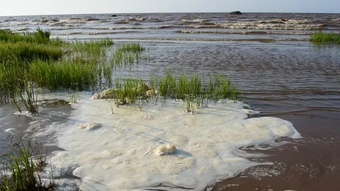 Coastal foam Stock Footage 108764370