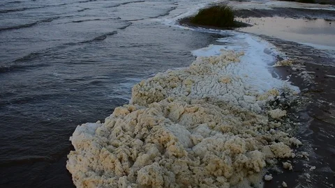 Coastal foam Stock Footage 115477378