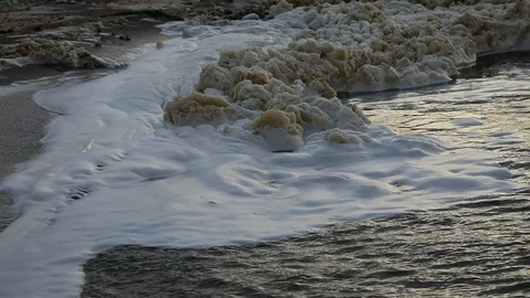 Coastal foam sways in the waves Stock Footage 115477296