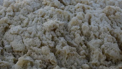 Coastal foam trembles in the wind Stock Footage 115477347