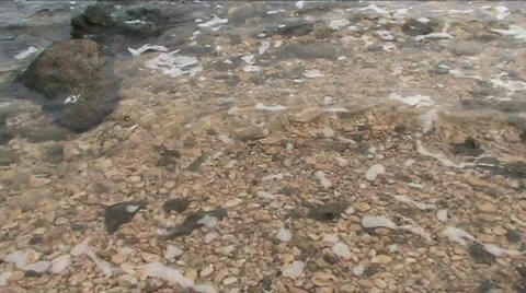 Coastal 스톡 동영상 912462