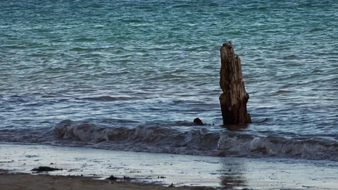 Coastal footage with waves Stock Footage 93095270