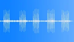 Coastal forest birds and frogs Sound Effect