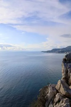 Coastal forest cliffside Stock Photos