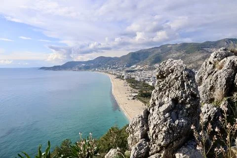 Coastal forest cliffside Stock-Fotos