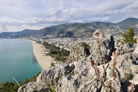 Coastal forest cliffside Stock-Fotos