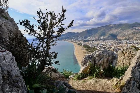Coastal forest cliffside Stock Photos