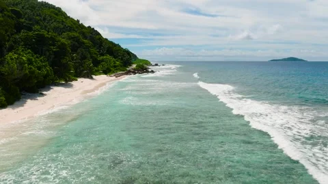 Coastal forest leading to a sandy beach and calm waters. La Digue, Seychelles. Stock Footage 313093960
