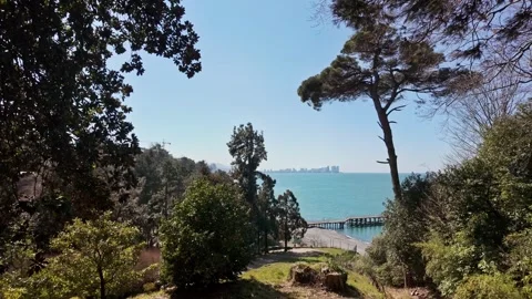 Coastal Forest View Overlooking Batumi Beach Vídeo Stock 344388736
