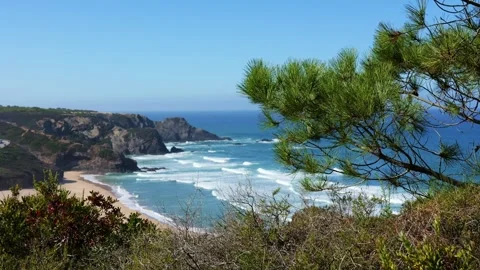 Coastal Forest Viewpoint Over Praia Beach Fishermens Trail Portugal Stock Footage 319132261
