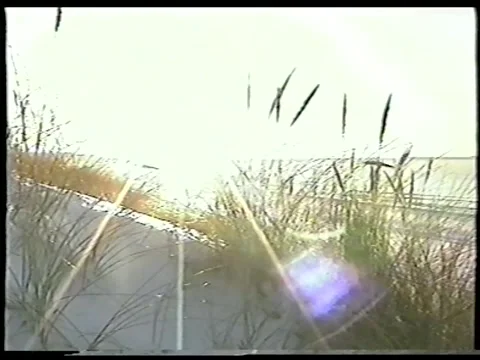 Coastal Grass Stock Footage 336523727