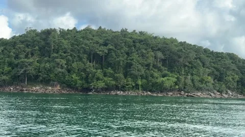 Coastal Green Forest Near The Sea in Sihanoukville Video stock 337088853