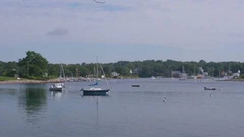 Coastal Harbor Stock Footage 134740302