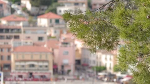 Coastal Harbor Town View Framed by Pine Tree Branch Stock Footage 340179698