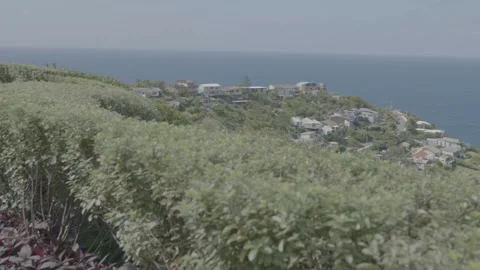 Coastal Hedges Overlooking Ocean and Residential Area in Sydney, Australia Stock Footage 345725480