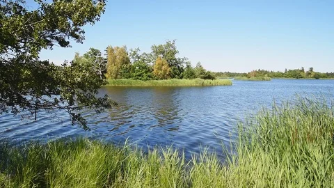 Coastal landscape Stock Footage 94367283