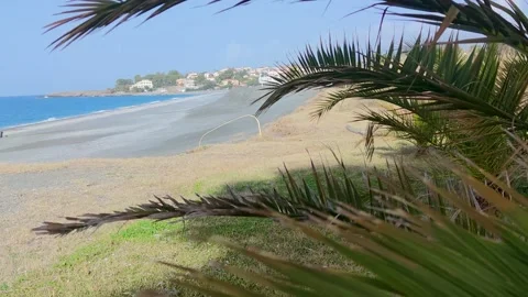 Coastal Landscape with Palm Trees on the White Sand of a Tropical Beach. Stock Footage 225447654