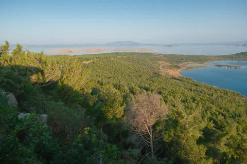 Coastal landscape with pine trees overlooking calm water and distant islands Stock-Fotos