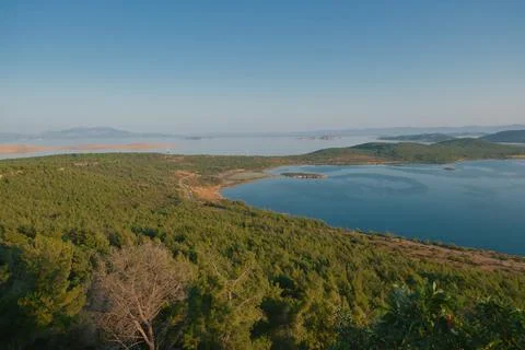 Coastal landscape with pine trees overlooking calm water and distant islands Stock-Fotos