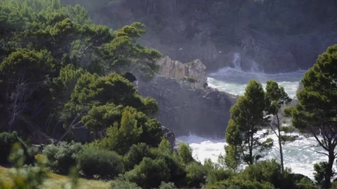 Coastal landscape with waves hitting rocks and pine trees Stock Footage 168772211