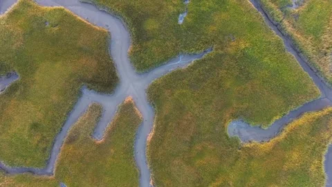 Coastal marsh flyover. Stock Footage 262801345