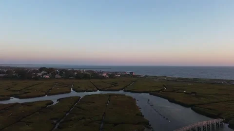 Coastal marsh. Stock Footage 262801326