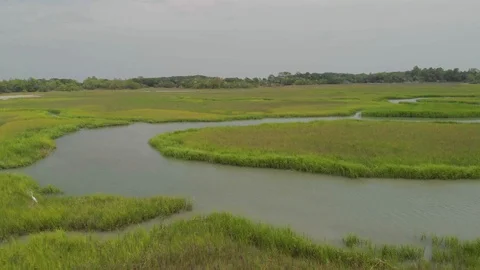 Coastal Marshland Stock Footage 93280972