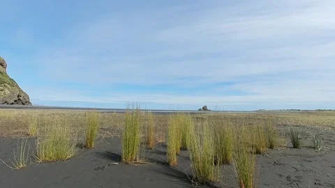 Coastal Mashland Stock Footage 218544086
