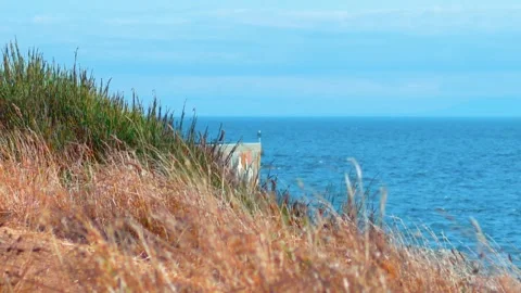 Coastal Meadow Grass Overlooking Calm Deep Blue Ocean Horizon Stock Footage 346510546