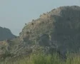 Coastal mountain SD Footage