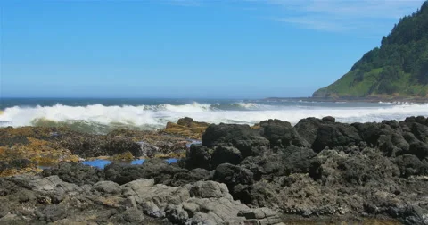 Coastal Oregon Seascape Stock Footage 44278045