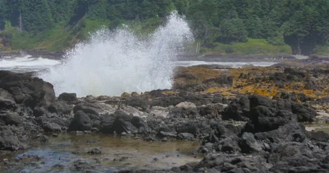 Coastal Oregon Seascape 库存影片 44280745