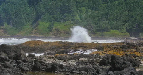 Coastal Oregon Seascape 库存影片 44280875